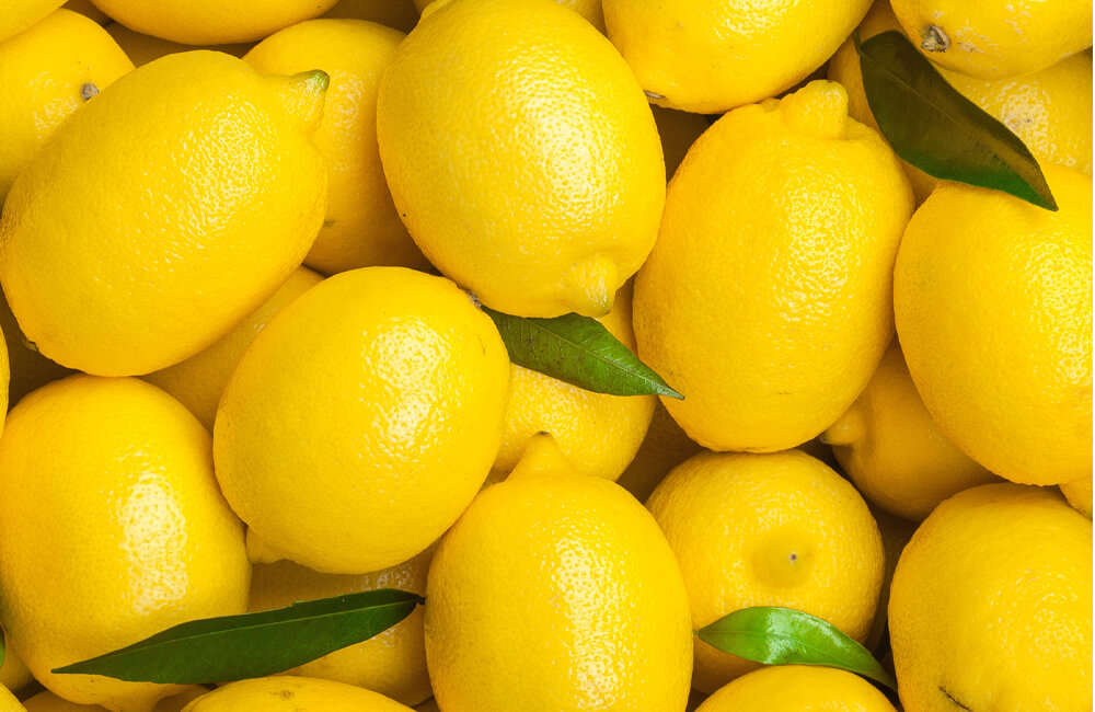 Festa del limone