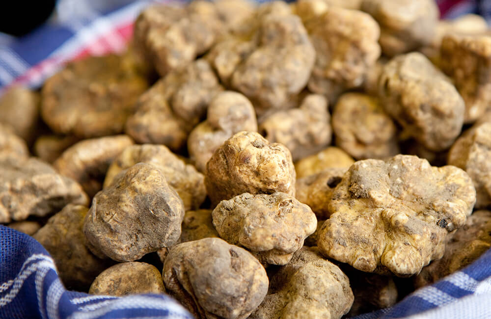 Fiera internazionale del tartufo bianco d’Alba