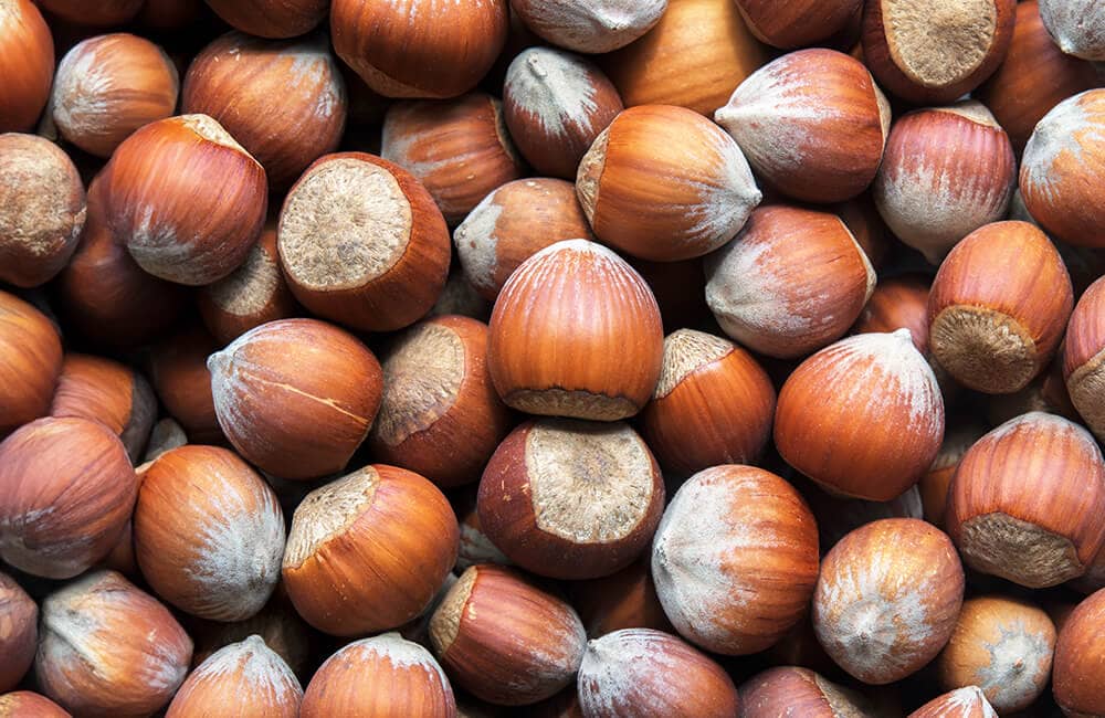 Fiera nazionale della nocciola di Cortemilia