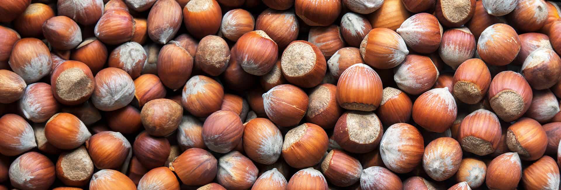 Fiera nazionale della nocciola di Cortemilia