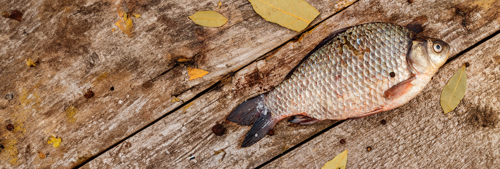 Sagra del pesce