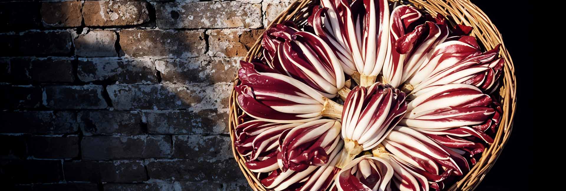 Festa del radicchio rosso