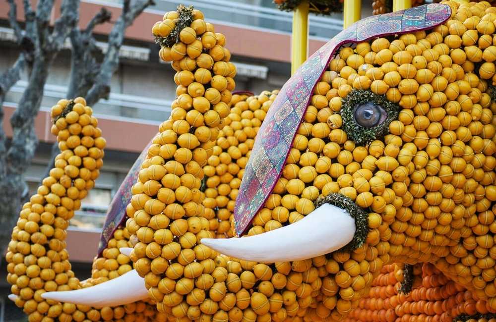 Festa del citrone mentone