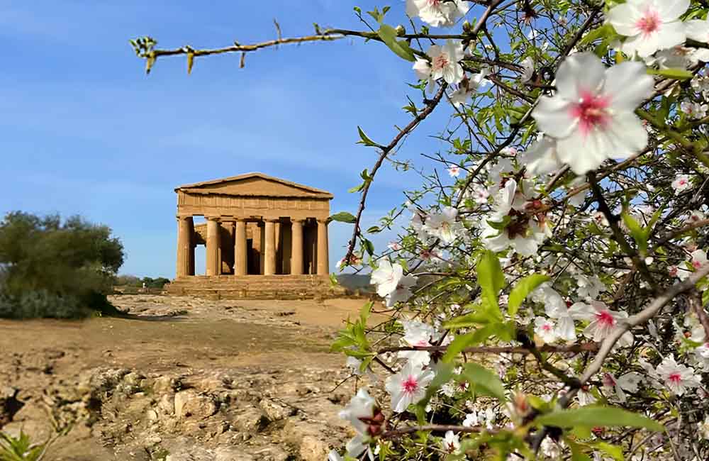 Festa del Mandorlo in fiore