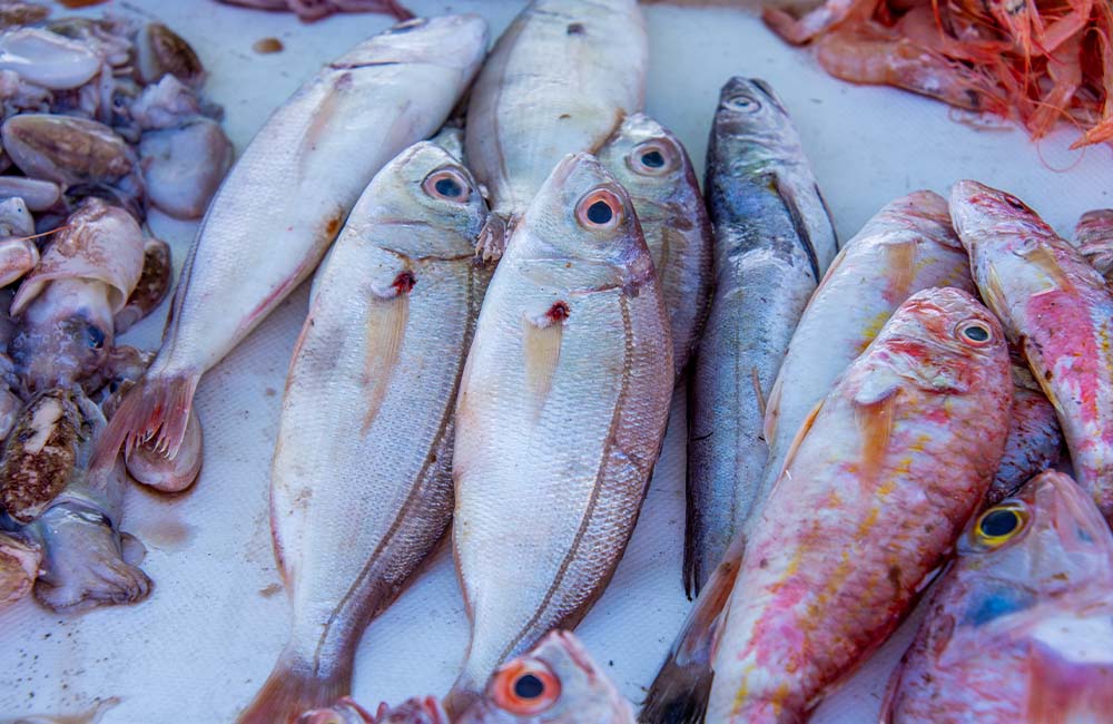 Sagra del pesce di mare