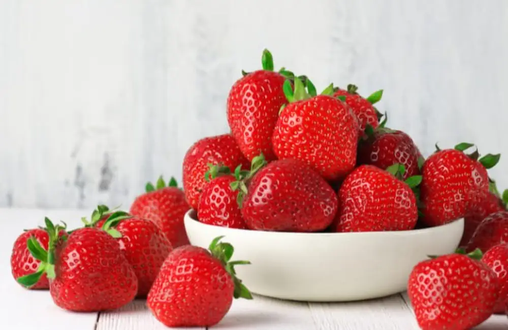 Fragola Expo Basilicata