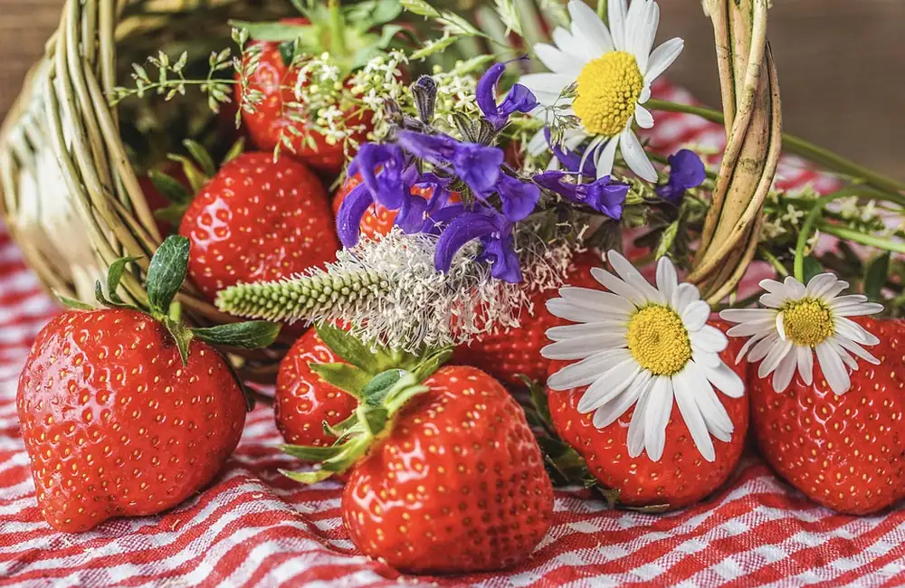 Francavilla Fiori e Fragole