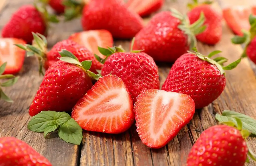 Festa della Fragola