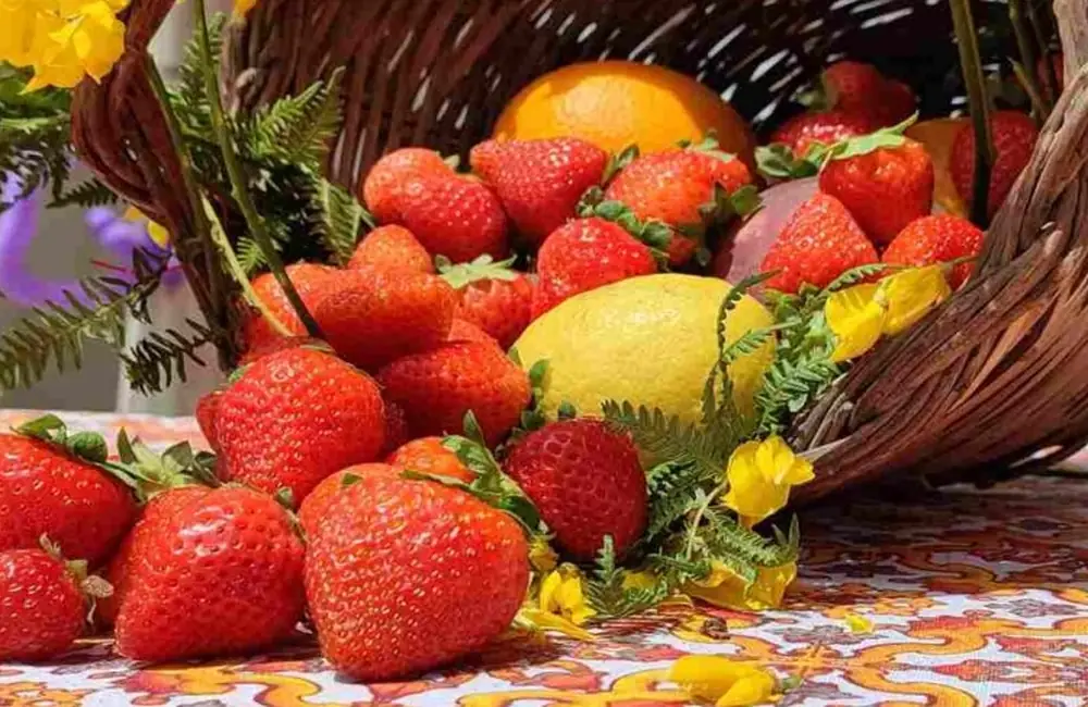 Sagra della Fragola