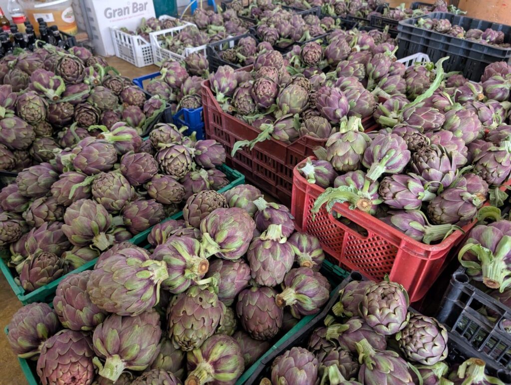 WhatsApp Image 2026-02-06 at 09.42.22