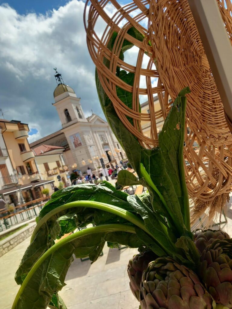 WhatsApp Image 2026-02-06 at 09.50.55