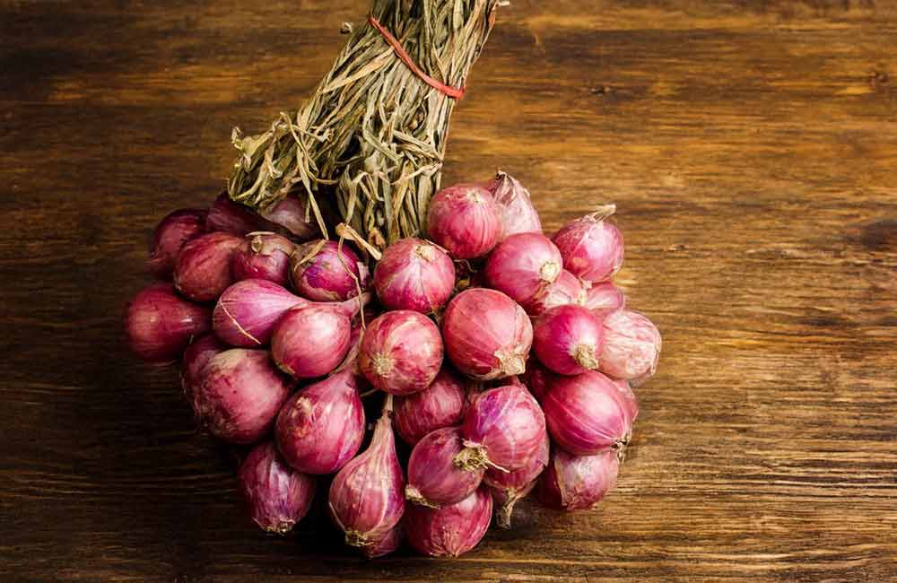 Fiera dello scalogno di romagna IGP