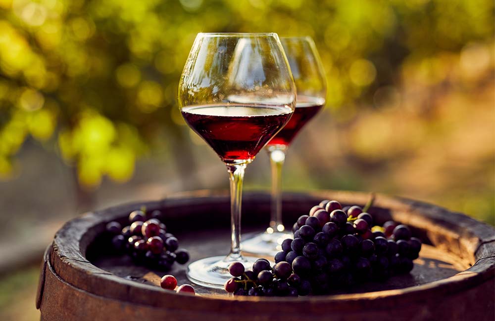 Sagra del Lambrusco e degli spiriti divini