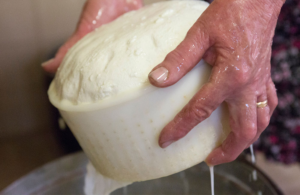 Sagra del formaggio pecorino