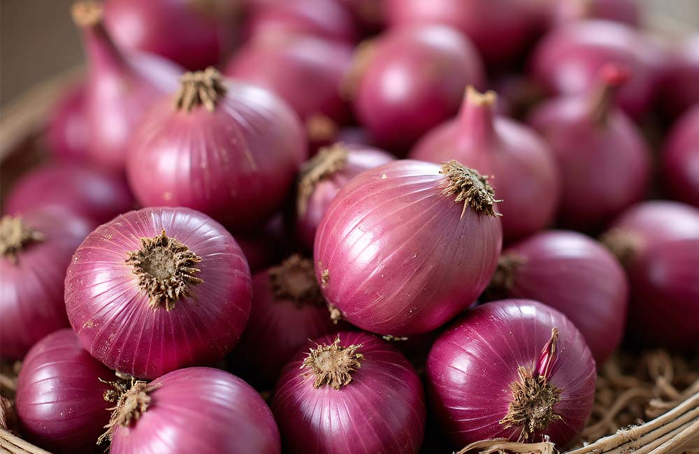 La Festa della Cipolla Rossa