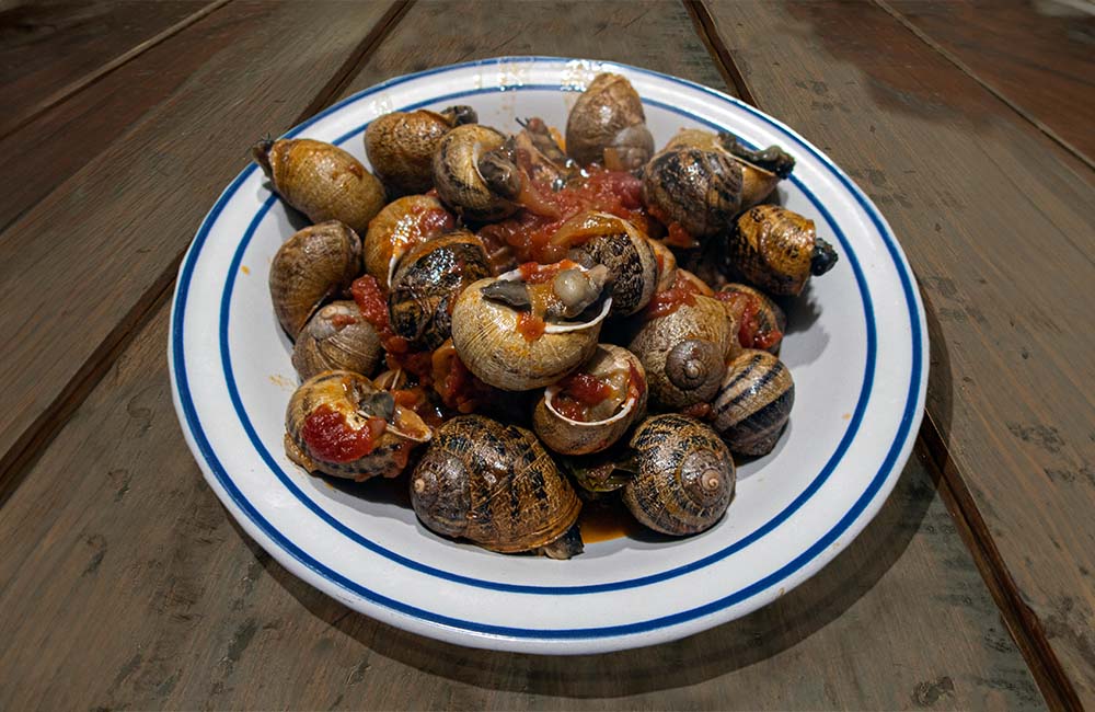 Sagra della lumaca