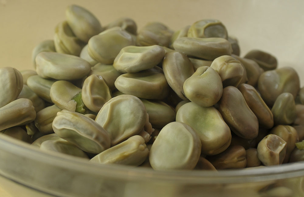 Sagra della fava cottora dell’Amerino, della polenta alla carbonara e del cinghiale al colcellse