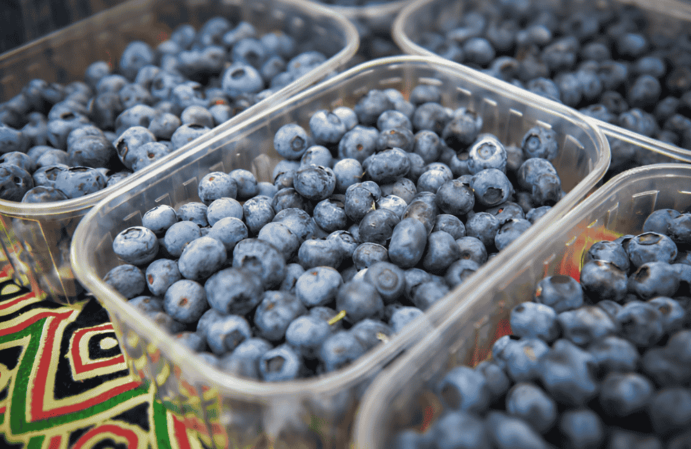 Sagra del Mirtillo e delle Eccellenze Moncrivellesi