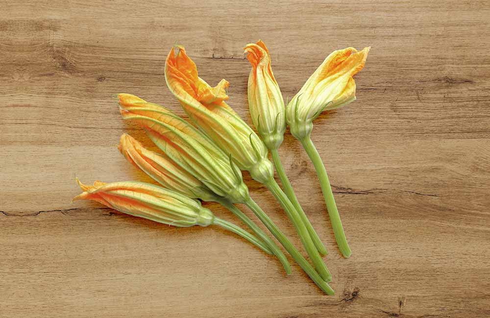 Sagra dei fior di zucca