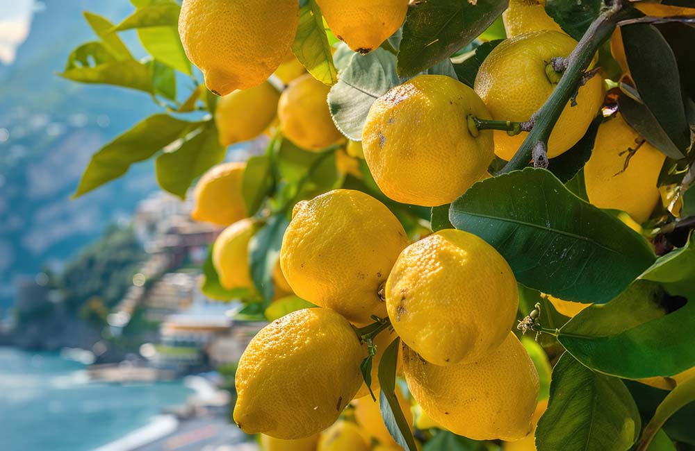 Festa del limone