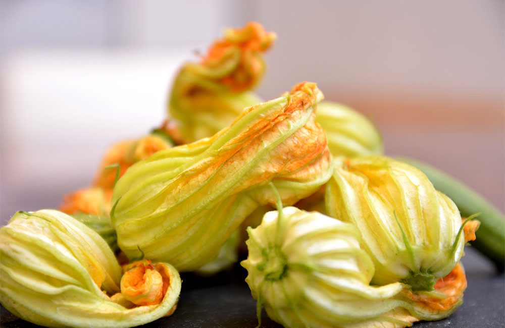 Sagra del fiore di zucca