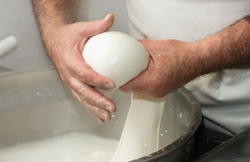 Festa della mozzarella