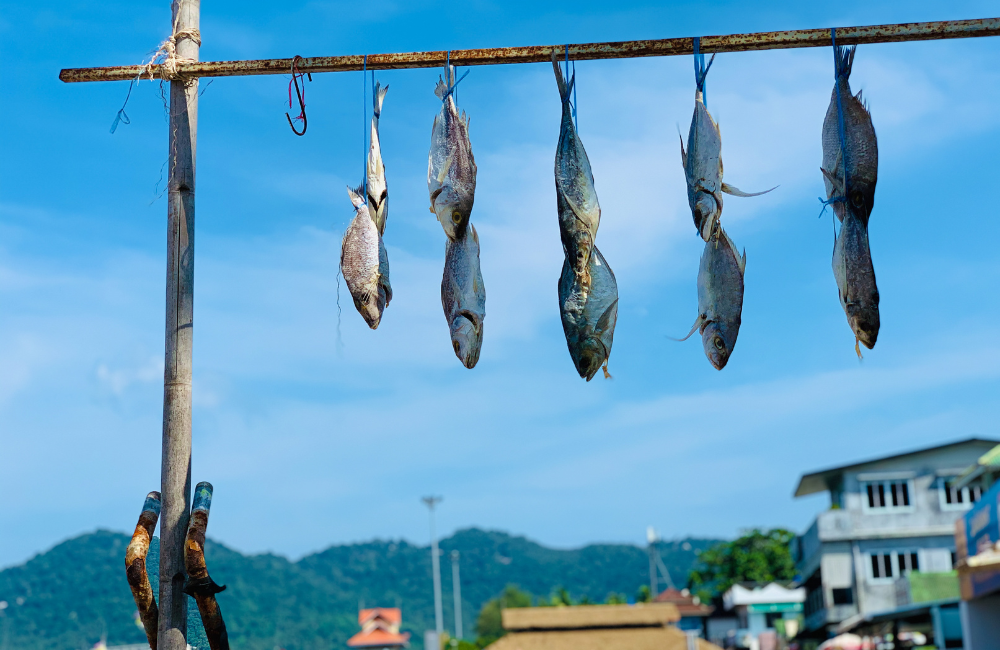 Sagra del pesce