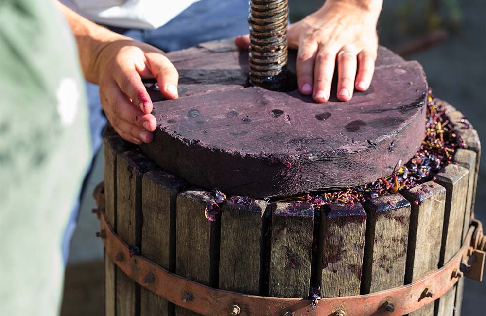 Sagra dell’uva e del vino e Palio dei Rioni