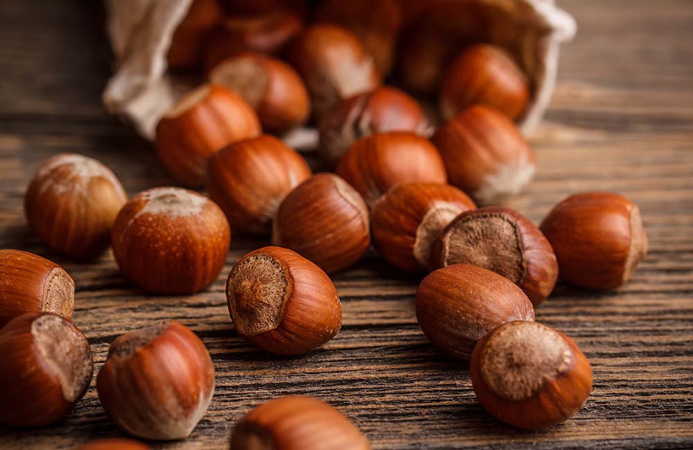 Festa della Nocciola