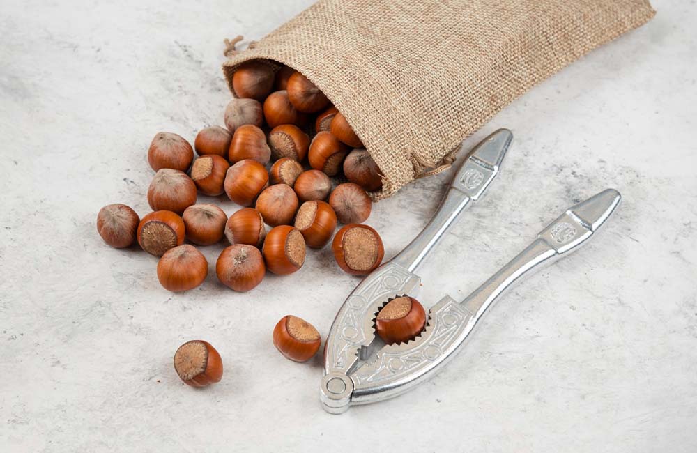 Sagra della nocciola