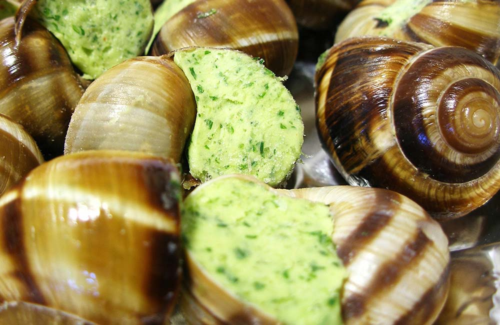 Sagra della lumaca