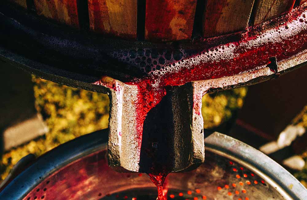 Vino cotto festival