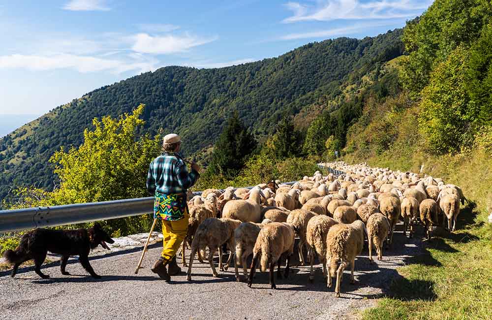 Le Ruelle di lu Paese – Saperi e Sapori della Transumanza