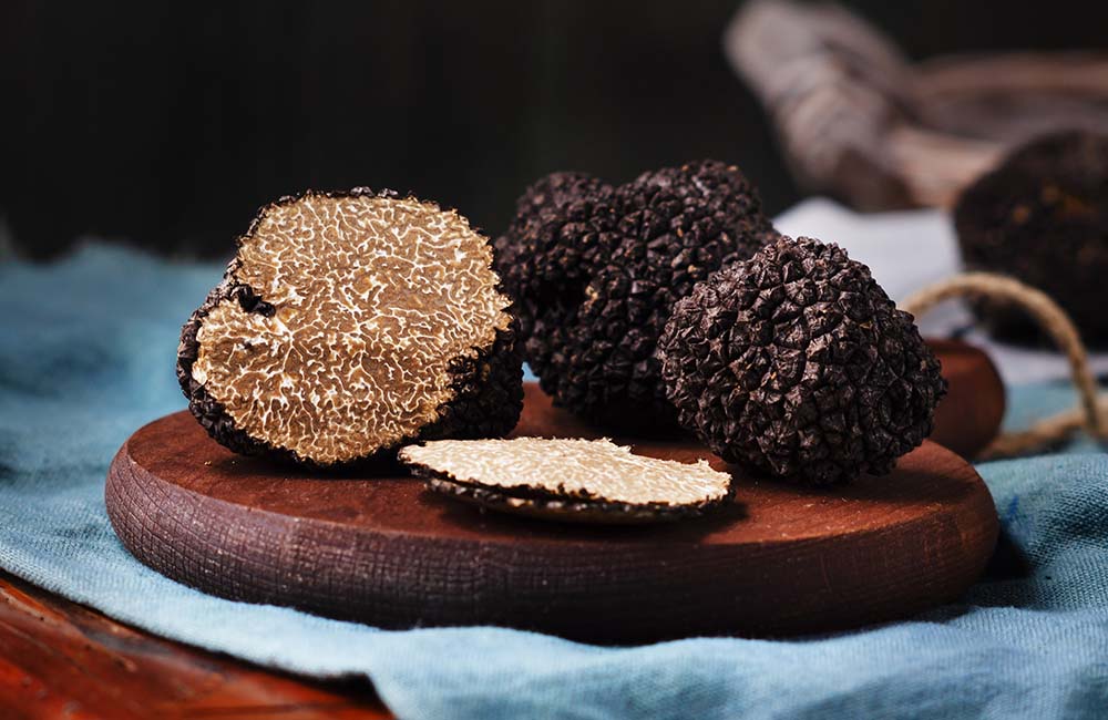 Festa del tartufo nero