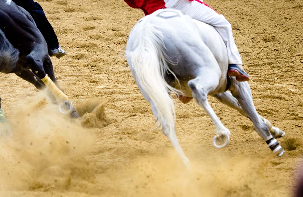 Palio di Ribusa