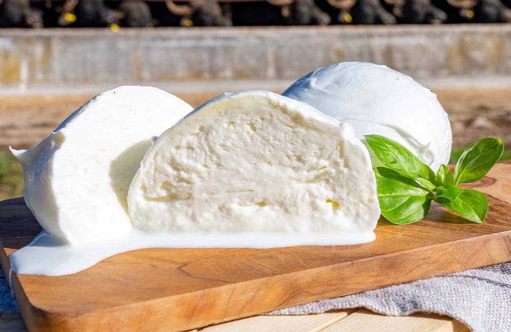 La festa della Mozzarella