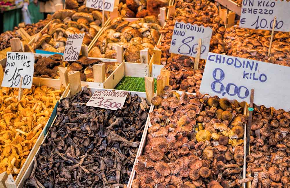 Funghi in piazza