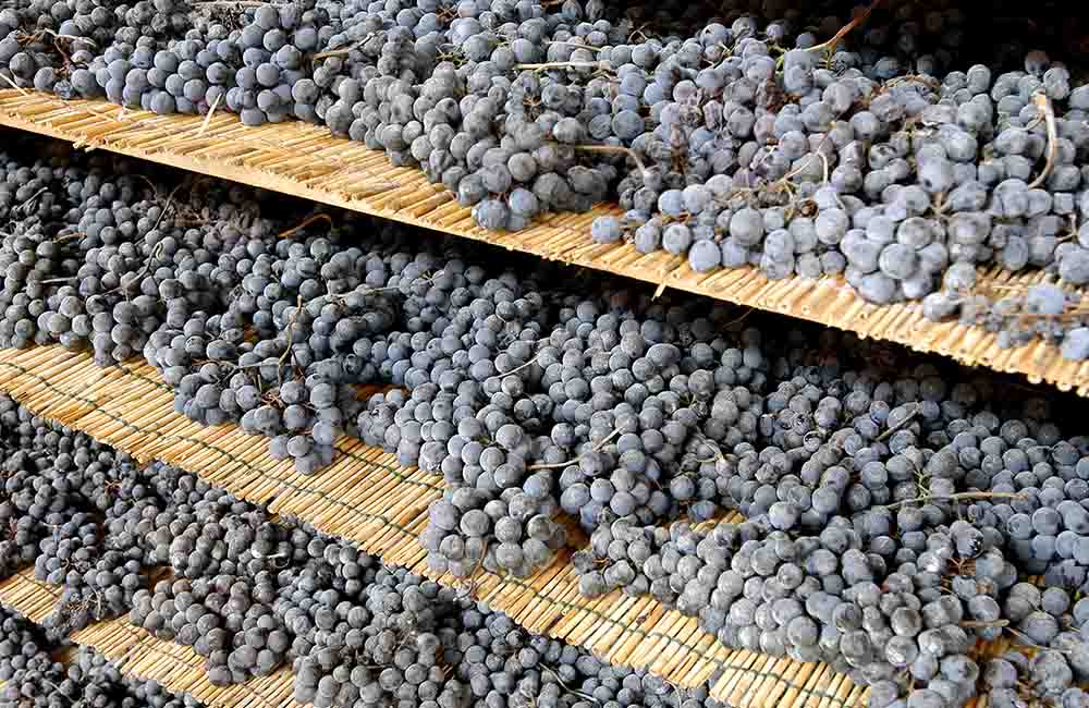 Eroico rosso sforzato wine festival