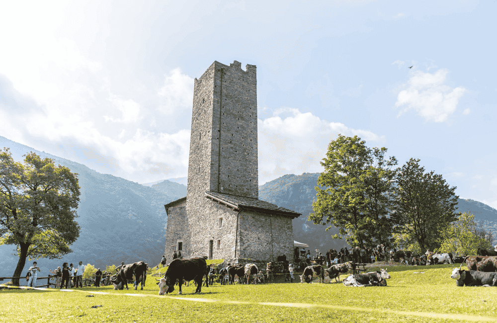 La Transumanza di Pont Canavese