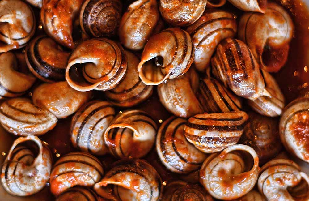 Festa della lumaca d’autunno