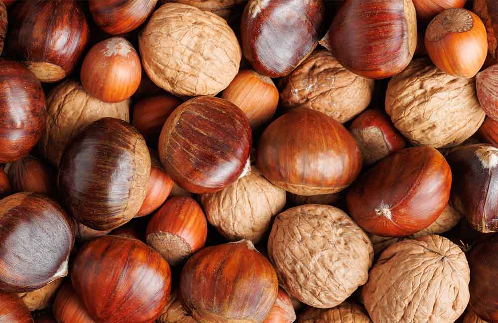 Sagra della castagna e della nocciola