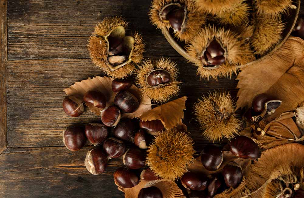 Sagra del marrone e dei frutti del sottobosco