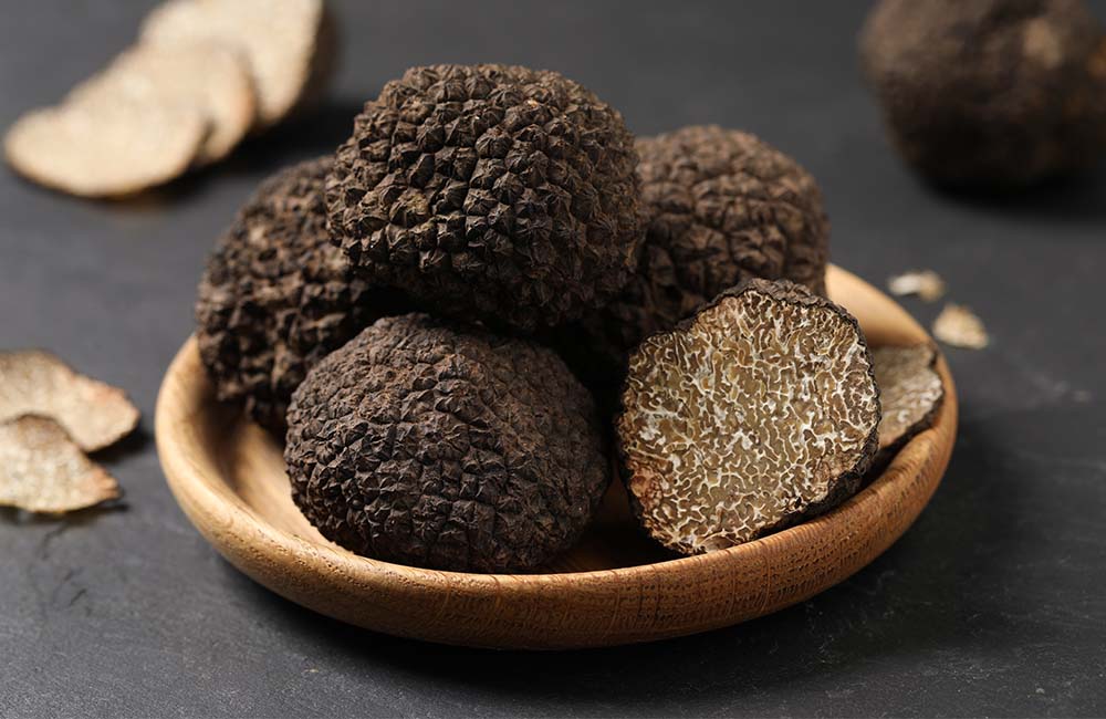 Sagra del Tartufo