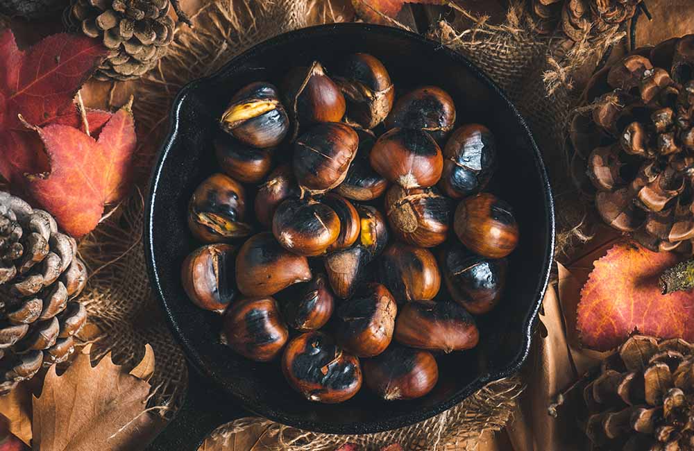 Sagra delle Frugiate