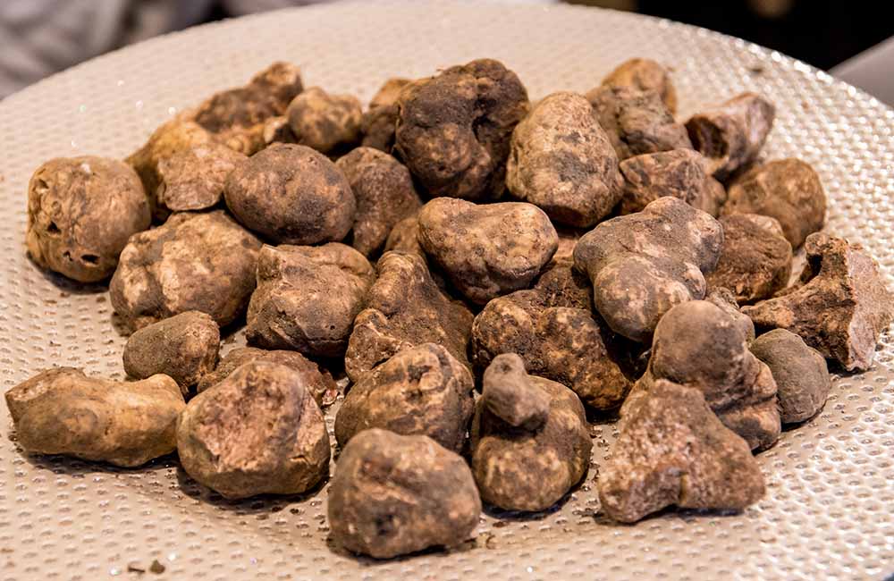 Fiera Nazionale del Tartufo Bianco di Acqualagna