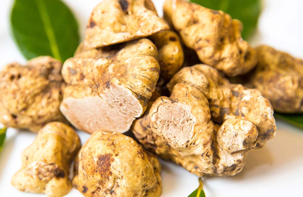 Tartófla – Festival Internazionale del tartufo bianco