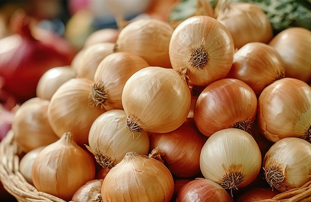 Fiera della cipolla bionda di Cureggio e Fontaneto