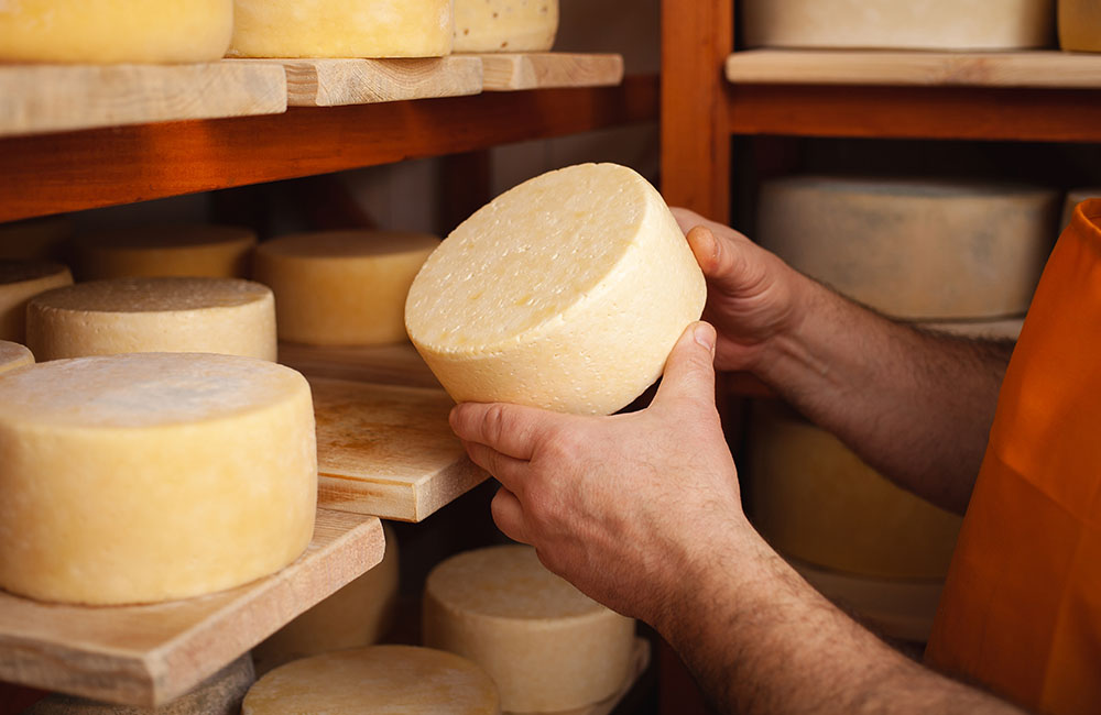 Cheese FestiVal di sole