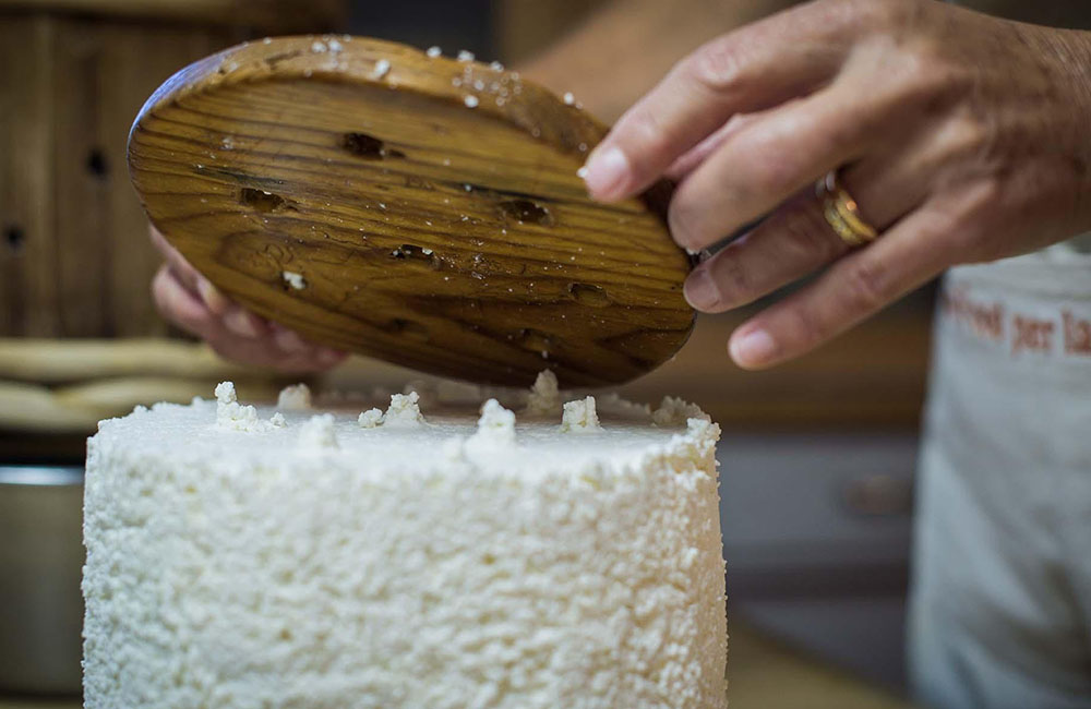 Giornata del graukäse