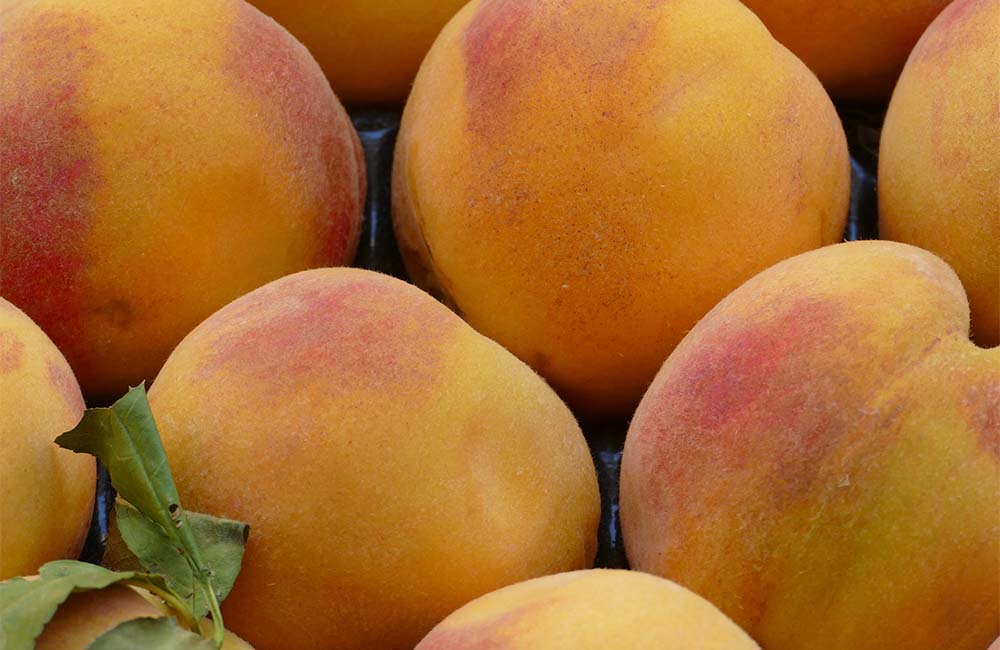 Festa del Borgo Antico e Sagra delle Delizie